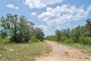 Tbd Cr 420, Waelder, TX 78959 - Photo 8