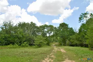 Tbd Cr 420, Waelder, TX 78959 - Photo 10