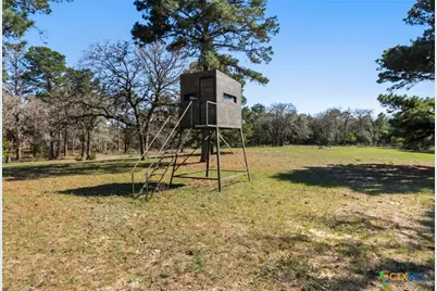 490 John Craft Road, Red Rock, TX 78662 - Photo 30