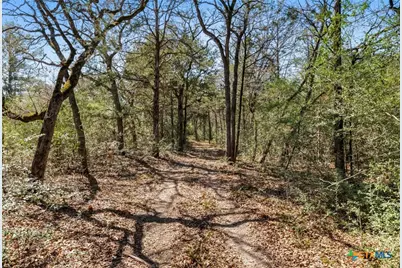 490 John Craft Road, Red Rock, TX 78662 - Photo 26