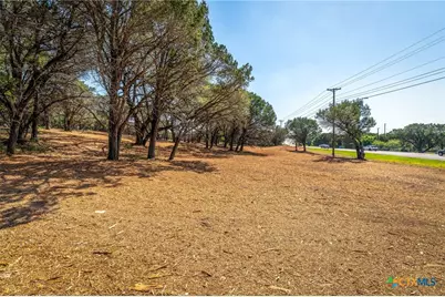 127 Kings Way, New Braunfels, TX 78132 - Photo 22