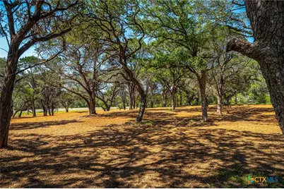 127 Kings Way, New Braunfels, TX 78132 - Photo 12