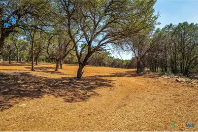 127 Kings Way, New Braunfels, TX 78132 - Photo 20