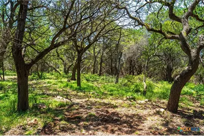 127 Kings Way, New Braunfels, TX 78132 - Photo 12