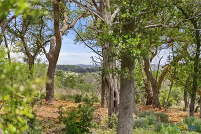 2159 Andalusia, Canyon Lake, TX 78133 - Photo 2