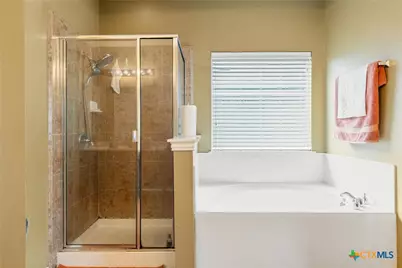 1002 Wallin Farms Cove, Hutto, TX 78634 - Photo 12