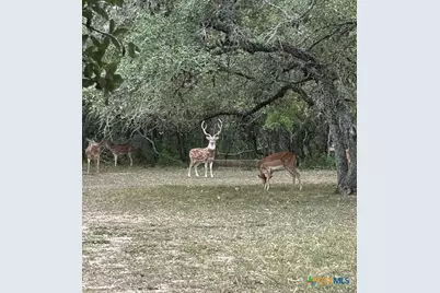 305 Cr 305, Beeville, TX 78102 - Photo 1