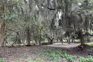 305 Cr 305, Beeville, TX 78102 - Photo 22