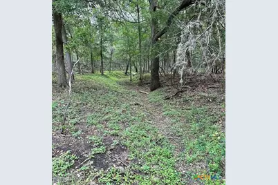 305 Cr 305, Beeville, TX 78102 - Photo 6