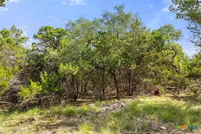 2219 Hiline Drive, Bulverde, TX 78163 - Photo 48