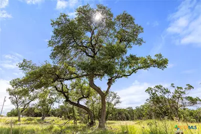 2219 Hiline Drive, Bulverde, TX 78163 - Photo 8