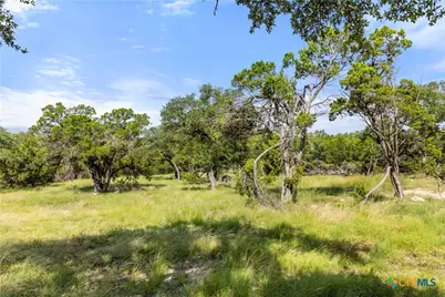 2219 Hiline Drive, Bulverde, TX 78163 - Photo 14