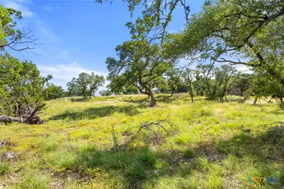 2219 Hiline Drive, Bulverde, TX 78163 - Photo 10