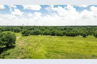 1238 County Road 124, Wharton, TX 77488 - Photo 4