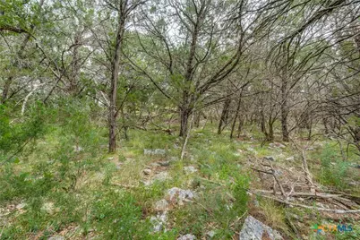 318 Iron Hill, New Braunfels, TX 78132 - Photo 10