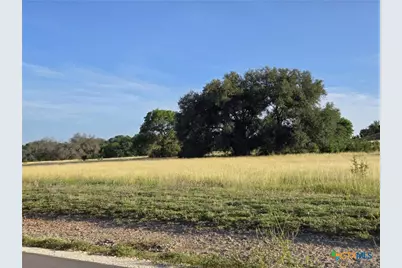 102 Yellowstone Drive, Oglesby, TX 76561 - Photo 4