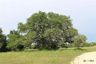 4188 FM 20, Seguin, TX 78155 - Photo 18