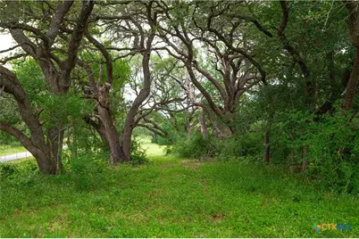 4188 Fm 20, Seguin, TX 78155 - Photo 6