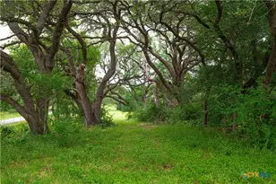 4188 FM 20, Seguin, TX 78155 - Photo 6