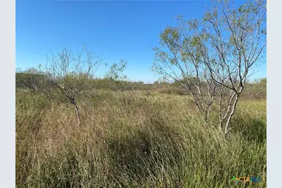 000 County Rd 407, Waelder, TX 78959 - Photo 28