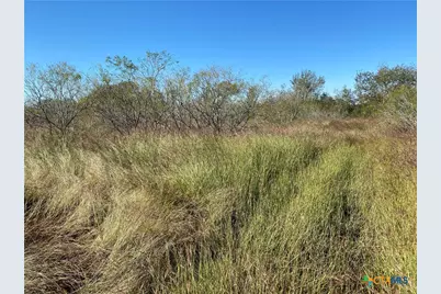 000 County Rd 407, Waelder, TX 78959 - Photo 16