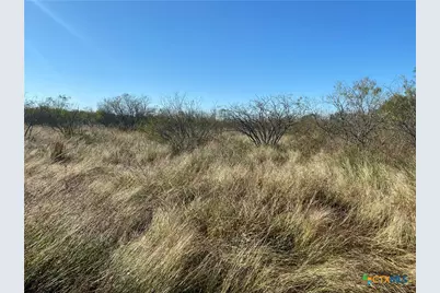 000 County Rd 407, Waelder, TX 78959 - Photo 22
