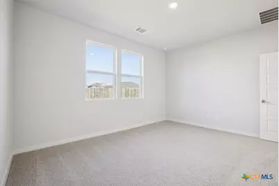 144 Cutleaf Cove, San Marcos, TX 78666 - Photo 16