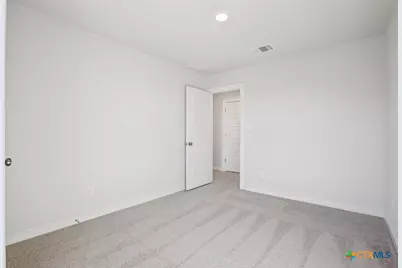 144 Cutleaf Cove, San Marcos, TX 78666 - Photo 22