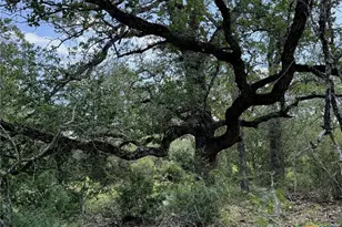 Tbd County Road 482, Gonzales, TX 78629 - Photo 22