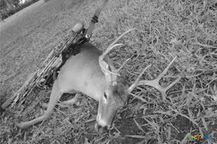 Tbd County Road 482, Gonzales, TX 78629 - Photo 20