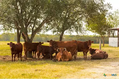 735 Old Zorn Road, San Marcos, TX 78666 - Photo 14