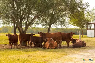 735 Old Zorn Rd, San Marcos, TX 78666 - Photo 14