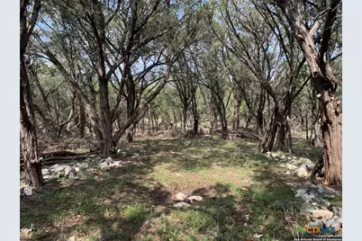 4224 Wegner Road, New Braunfels, TX 78132 - Photo 14