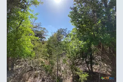 4224 Wegner Road, New Braunfels, TX 78132 - Photo 8