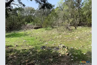 4224 Wegner Road, New Braunfels, TX 78132 - Photo 4
