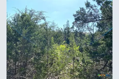 4224 Wegner Road, New Braunfels, TX 78132 - Photo 10