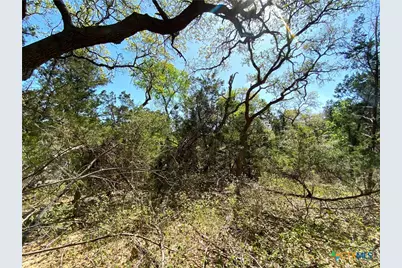 4224 Wegner Road, New Braunfels, TX 78132 - Photo 6