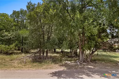 49 Buttercup Loop, Belton, TX 76513 - Photo 2