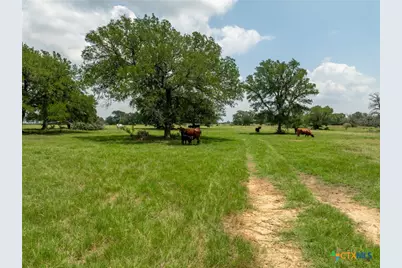 5315 Fm 932, Jonesboro, TX 76538 - Photo 24