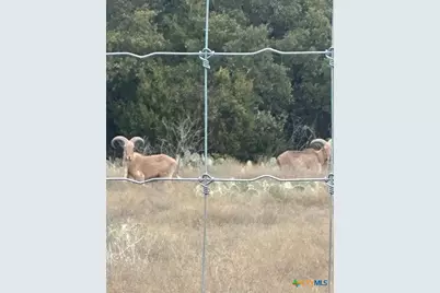 000 County Road 104 Road, Lampasas, TX 76550 - Photo 10