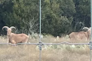 000 County Road 104 Rd, Lampasas, TX 76550 - Photo 10