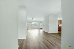 1217 Ruddy Duck, New Braunfels, TX 78130 - Photo 2