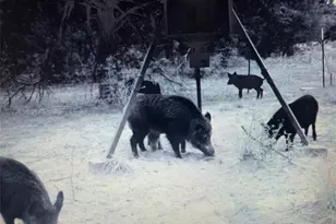 5815 Co Rd 15, Hallettsville, TX 77964 - Photo 48