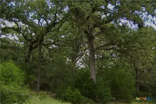 5815 Co Rd 15, Hallettsville, TX 77964 - Photo 46