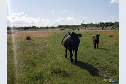 Lot 5 County Road 1255 Pitt Creek Ranch, Lampasas, TX 76550 - Photo 4