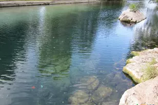 1108 Tuscan Ridge, New Braunfels, TX 78130 - Photo 46