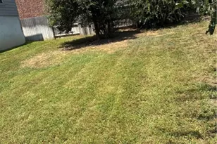 244 Heartleaf Rd, San Marcos, TX 78666 - Photo 26