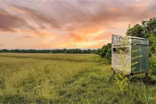 81 Private Rd 3095, Shiner, TX 77984 - Photo 4