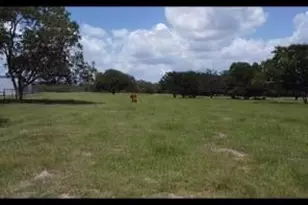 8652 State Hwy 111 E, Yoakum, TX 77995 - Photo 30