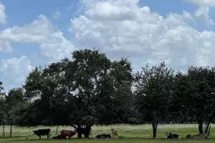 8652 State Hwy 111 E, Yoakum, TX 77995 - Photo 20